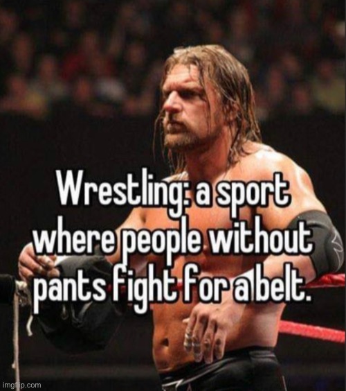 true summary | image tagged in funny,meme,wrestling | made w/ Imgflip meme maker