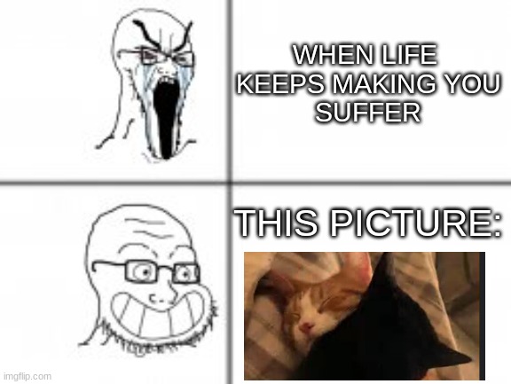 wholesome | WHEN LIFE 
KEEPS MAKING YOU
SUFFER; THIS PICTURE: | image tagged in soy angry then happy | made w/ Imgflip meme maker