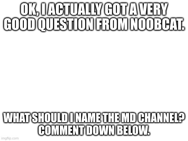 (MD channel related btw mods) | OK, I ACTUALLY GOT A VERY GOOD QUESTION FROM NOOBCAT. WHAT SHOULD I NAME THE MD CHANNEL?
COMMENT DOWN BELOW. | image tagged in murder drones,channel,names | made w/ Imgflip meme maker