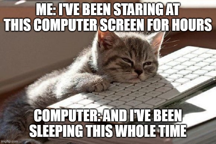 hi im back | ME: I'VE BEEN STARING AT THIS COMPUTER SCREEN FOR HOURS; COMPUTER: AND I'VE BEEN SLEEPING THIS WHOLE TIME | image tagged in too tired | made w/ Imgflip meme maker