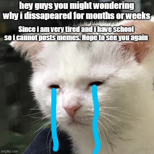 :( | hey guys you might wondering why i dissapeared for months or weeks; Since i am very tired and i have school so i cannot posts memes. Hope to see you again | image tagged in i'm awake but at what cost | made w/ Imgflip meme maker