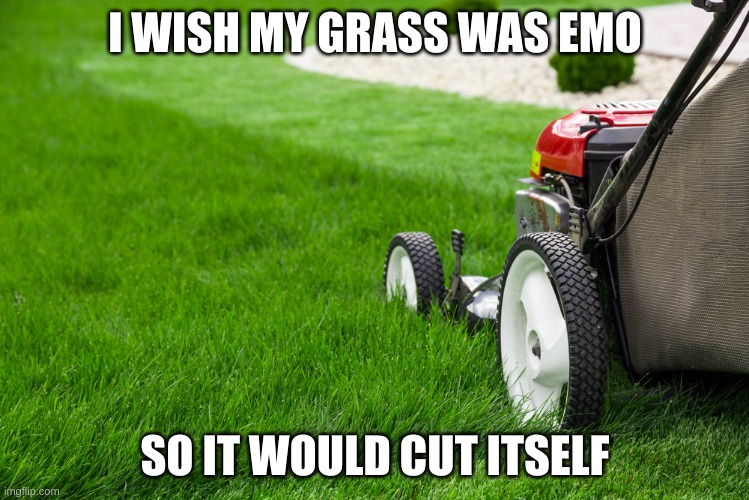 Lawn Mower | I WISH MY GRASS WAS EMO; SO IT WOULD CUT ITSELF | image tagged in lawn mower | made w/ Imgflip meme maker