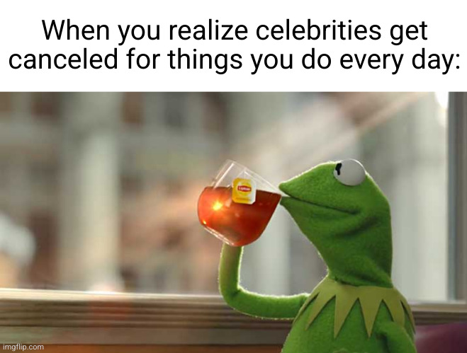 guess I'm better than a celebrity | When you realize celebrities get canceled for things you do every day: | image tagged in kermit drinking tea,celebrity,tea,so true,funny,canceled | made w/ Imgflip meme maker