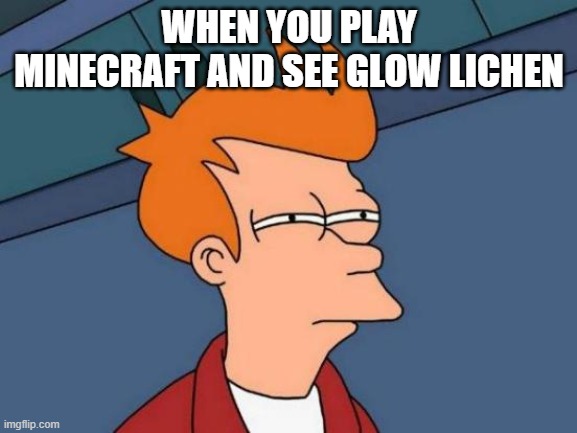 Futurama Fry Meme | WHEN YOU PLAY MINECRAFT AND SEE GLOW LICHEN | image tagged in memes,futurama fry | made w/ Imgflip meme maker