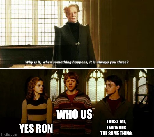 Who, Us? | WHO US; TRUST ME, I WONDER THE SAME THING. YES RON | image tagged in always you three | made w/ Imgflip meme maker