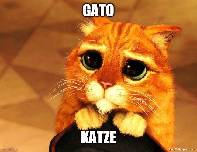 חטול | GATO; KATZE | image tagged in pussinboots | made w/ Imgflip meme maker