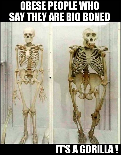 Excuses, Excuses ! | OBESE PEOPLE WHO SAY THEY ARE BIG BONED; IT'S A GORILLA ! | image tagged in obese,skeleton,big boned,human,gorilla,dark humour | made w/ Imgflip meme maker