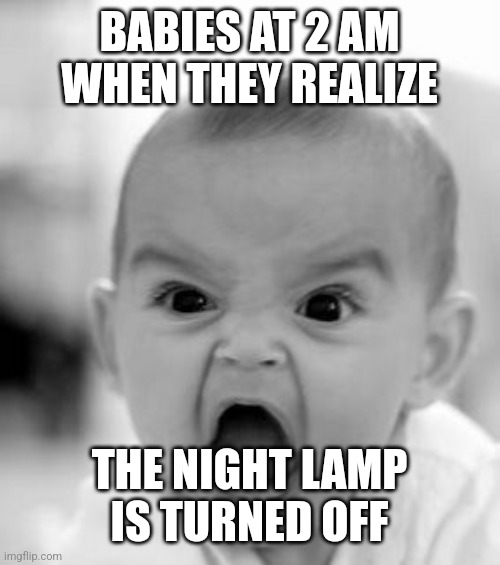 WAAAAAAAAAAAAAAAAA | BABIES AT 2 AM WHEN THEY REALIZE; THE NIGHT LAMP IS TURNED OFF | image tagged in memes,angry baby | made w/ Imgflip meme maker