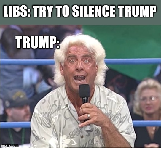 LIBS: TRY TO SILENCE TRUMP; TRUMP: | image tagged in funny memes | made w/ Imgflip meme maker