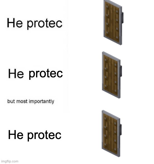 Fr. | protec; He protec | image tagged in minecraft,funny,shield | made w/ Imgflip meme maker