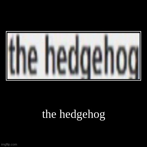 the hedgehog | the hedgehog | | image tagged in funny,demotivationals | made w/ Imgflip demotivational maker