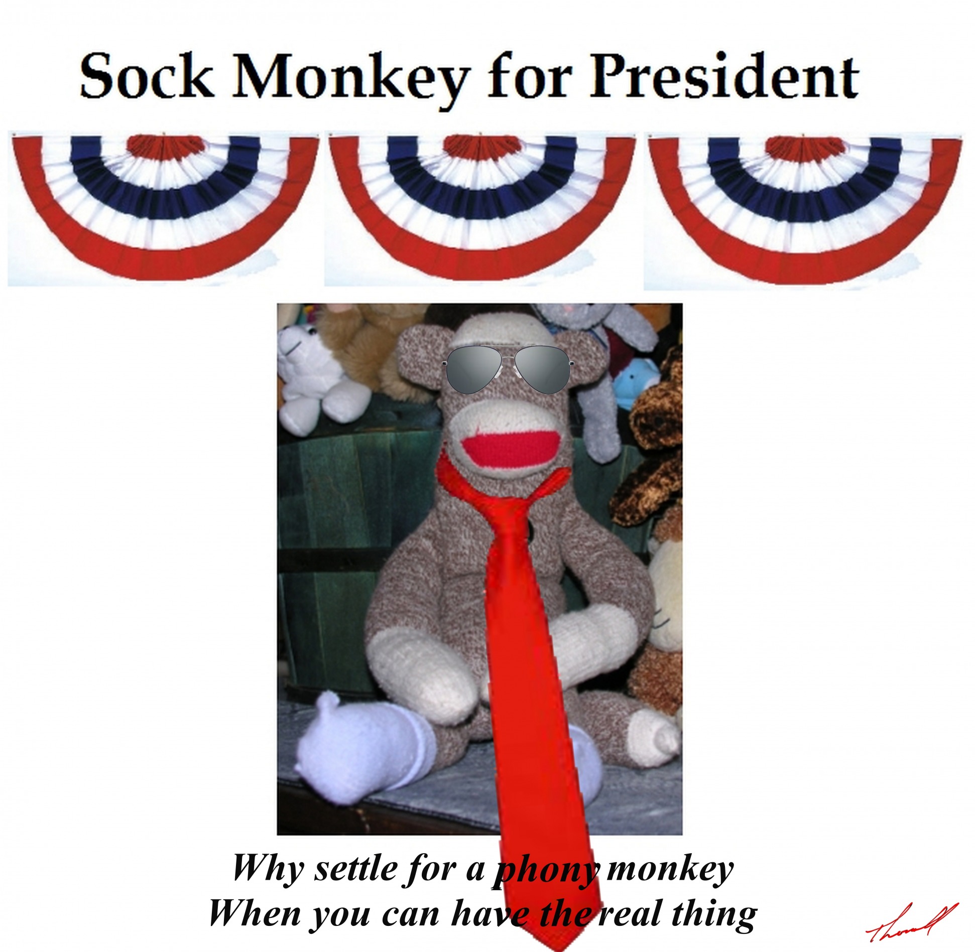 Sock Monkey for president Blank Meme Template