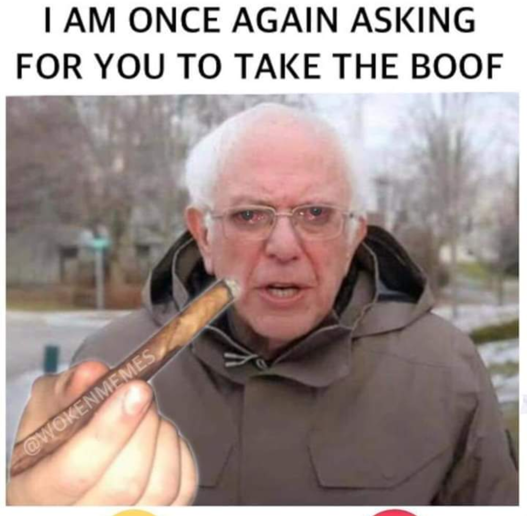 Bernie high Blank Meme Template