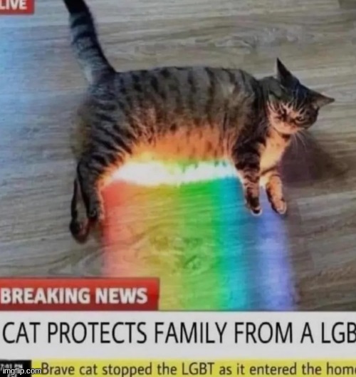 I support the lgtv community | made w/ Imgflip meme maker