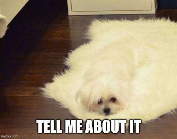 dog melt | TELL ME ABOUT IT | image tagged in dog melt | made w/ Imgflip meme maker