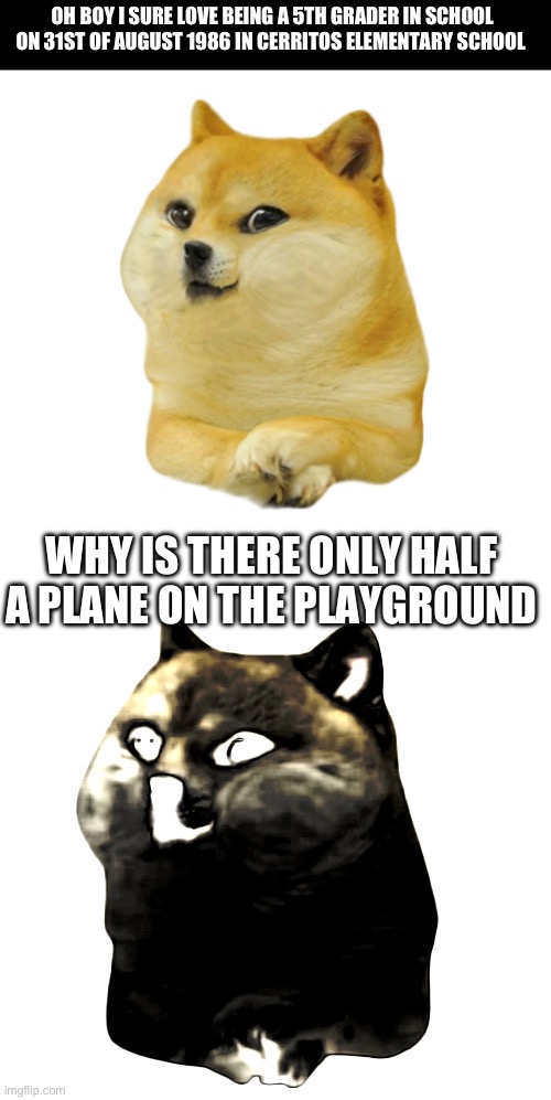 Look up the crash/date AM498 | OH BOY I SURE LOVE BEING A 5TH GRADER IN SCHOOL ON 31ST OF AUGUST 1986 IN CERRITOS ELEMENTARY SCHOOL; WHY IS THERE ONLY HALF A PLANE ON THE PLAYGROUND | image tagged in young doge,airplane,plane crash,historical meme | made w/ Imgflip meme maker