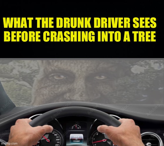 Tree: are you serious right neow | WHAT THE DRUNK DRIVER SEES BEFORE CRASHING INTO A TREE | image tagged in wise mystical tree,fresh memes,funny,memes | made w/ Imgflip meme maker