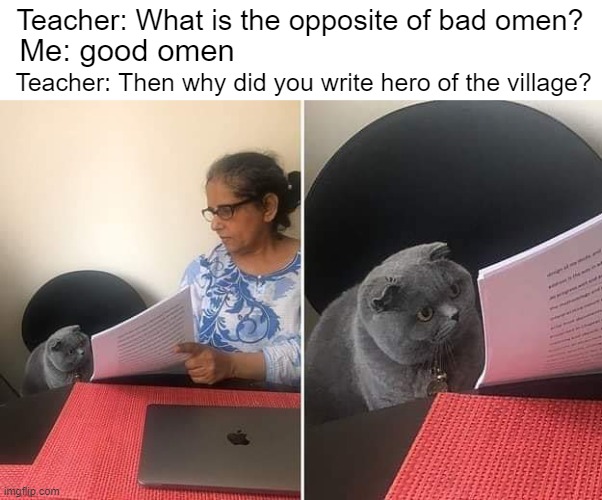addiction to minecraft | Me: good omen; Teacher: What is the opposite of bad omen? Teacher: Then why did you write hero of the village? | image tagged in woman showing paper to cat,memes | made w/ Imgflip meme maker