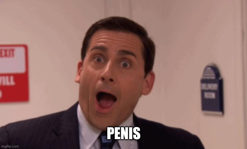 Michael Scott | PENIS | image tagged in michael scott | made w/ Imgflip meme maker