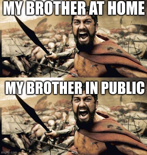 true though | MY BROTHER AT HOME; MY BROTHER IN PUBLIC | image tagged in memes,sparta leonidas,brothers | made w/ Imgflip meme maker