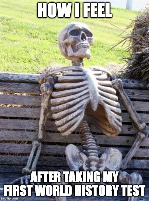 Waiting Skeleton | HOW I FEEL; AFTER TAKING MY FIRST WORLD HISTORY TEST | image tagged in memes,waiting skeleton | made w/ Imgflip meme maker