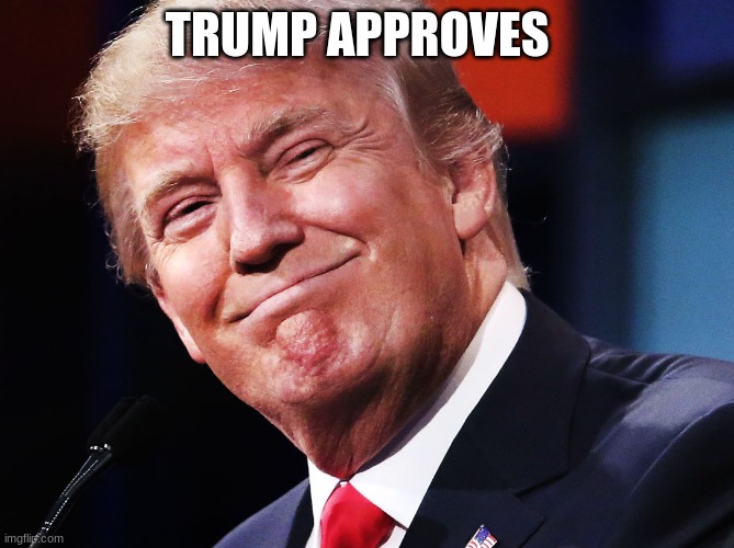 Donald Trump Happy | TRUMP APPROVES | image tagged in donald trump happy | made w/ Imgflip meme maker