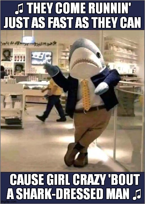 Misheard  ZZ Top Lyrics ! | ♫ THEY COME RUNNIN' JUST AS FAST AS THEY CAN; CAUSE GIRL CRAZY 'BOUT
 A SHARK-DRESSED MAN ♫ | image tagged in fun,zz top,misheard lyrics,shark | made w/ Imgflip meme maker