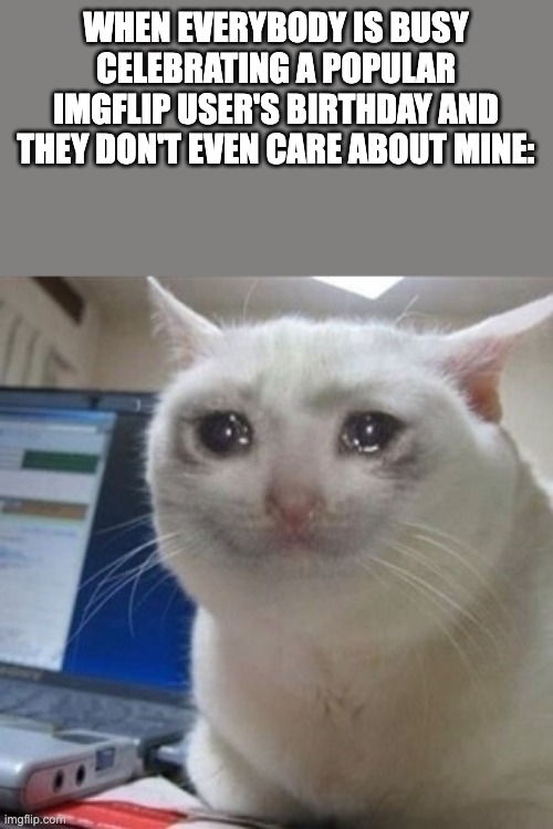 an introvert's life :< | WHEN EVERYBODY IS BUSY CELEBRATING A POPULAR IMGFLIP USER'S BIRTHDAY AND THEY DON'T EVEN CARE ABOUT MINE: | image tagged in crying cat,introverts | made w/ Imgflip meme maker