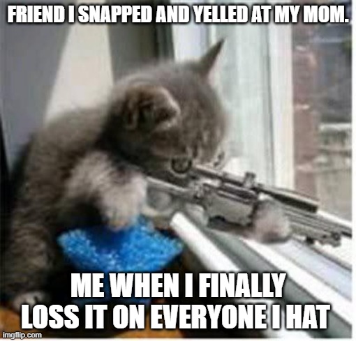 cats with guns | FRIEND I SNAPPED AND YELLED AT MY MOM. ME WHEN I FINALLY LOSS IT ON EVERYONE I HAT | image tagged in cats with guns | made w/ Imgflip meme maker