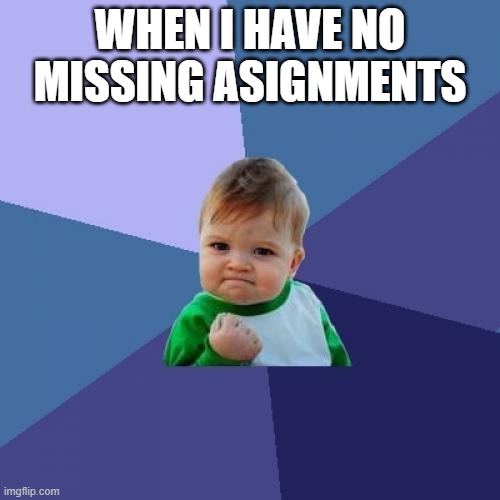 YESSS!!! | WHEN I HAVE NO MISSING ASIGNMENTS | image tagged in memes,success kid,school,yes,laugh,funny | made w/ Imgflip meme maker