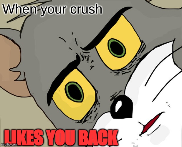 Fax | When your crush; LIKES YOU BACK | image tagged in memes,unsettled tom | made w/ Imgflip meme maker