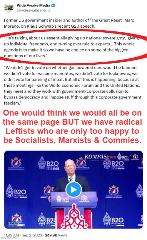 Surrendering National Sovereignty & Individual Freedom | One would think we would all be on 
the same page BUT we have radical 
Leftists who are only too happy to 
be Socialists, Marxists & Commies. | image tagged in politics,the great awakening,the great reset,klaus schwab,sovereignty,freedom | made w/ Imgflip meme maker
