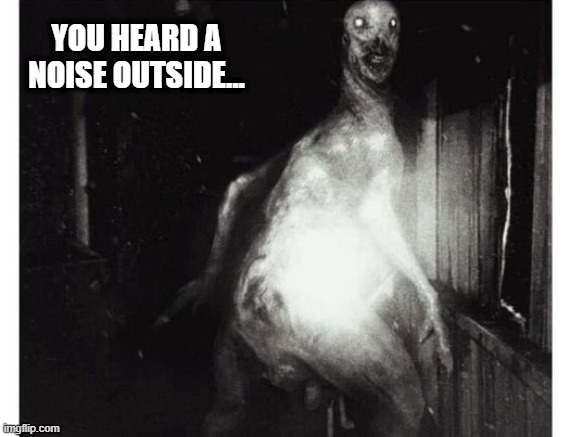 Not Going Outside | YOU HEARD A NOISE OUTSIDE... | image tagged in unsee juice | made w/ Imgflip meme maker
