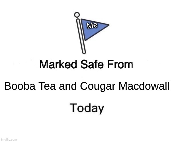 Hey, somebody give me an idea for a meme, and I'll do it! CAUSE I"M SO BORED RIGHT NOW | Me; Booba Tea and Cougar Macdowall | image tagged in memes,marked safe from,murder drones | made w/ Imgflip meme maker