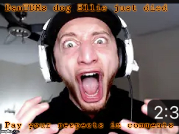 My honest reaction | DanTDMs dog Ellie just died; Pay your respects in comments | image tagged in my honest reaction | made w/ Imgflip meme maker