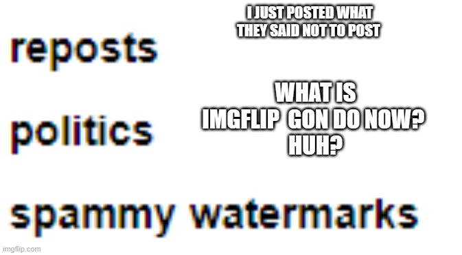 L imgflip | I JUST POSTED WHAT THEY SAID NOT TO POST; WHAT IS IMGFLIP  GON DO NOW? 
HUH? | image tagged in bruh,lol,hahah | made w/ Imgflip meme maker