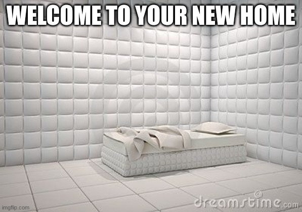 insane asylum pillow room | WELCOME TO YOUR NEW HOME | image tagged in insane asylum pillow room | made w/ Imgflip meme maker