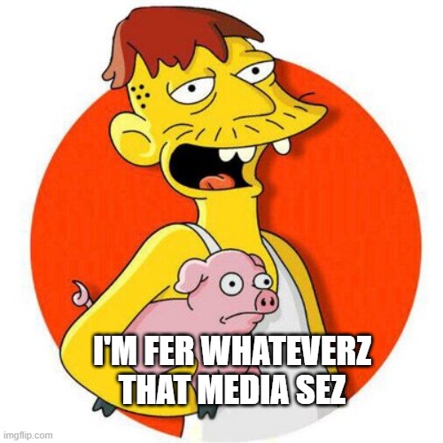 Cletus | I'M FER WHATEVERZ THAT MEDIA SEZ | image tagged in cletus pig,media | made w/ Imgflip meme maker