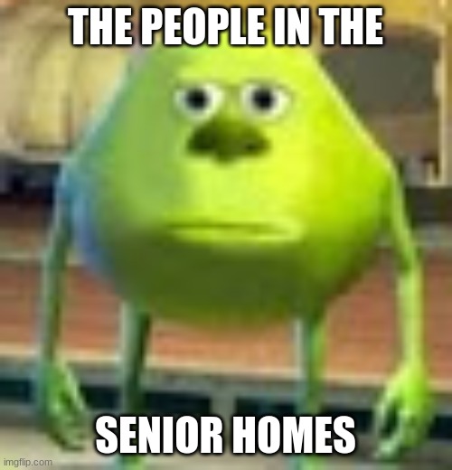 Sully Wazowski | THE PEOPLE IN THE SENIOR HOMES | image tagged in sully wazowski | made w/ Imgflip meme maker