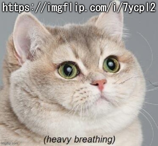 . | https://imgflip.com/i/7ycpl2 | image tagged in memes,heavy breathing cat | made w/ Imgflip meme maker