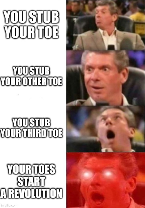 toes | YOU STUB YOUR TOE; YOU STUB YOUR OTHER TOE; YOU STUB YOUR THIRD TOE; YOUR TOES START A REVOLUTION | image tagged in mr mcmahon reaction | made w/ Imgflip meme maker