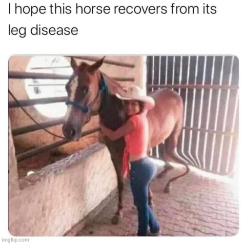 That horse has seen some shit | made w/ Imgflip meme maker