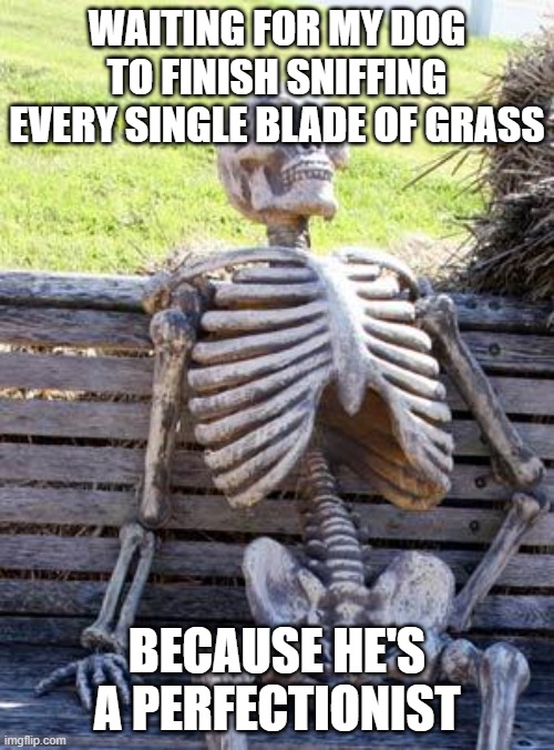 Waiting Skeleton | WAITING FOR MY DOG TO FINISH SNIFFING EVERY SINGLE BLADE OF GRASS; BECAUSE HE'S A PERFECTIONIST | image tagged in memes,waiting skeleton | made w/ Imgflip meme maker