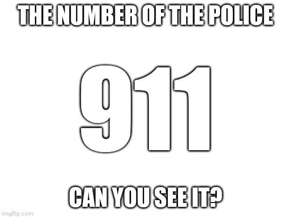 Heheheheheheh | THE NUMBER OF THE POLICE; 911; CAN YOU SEE IT? | image tagged in memes,can you find it,911 | made w/ Imgflip meme maker