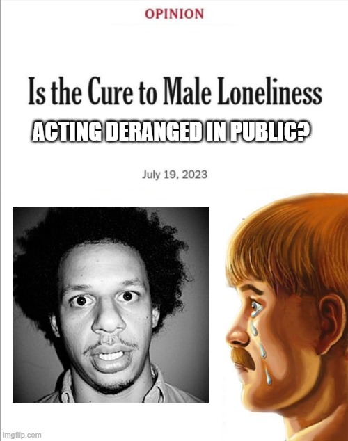 Is the cure to male loneliness image template | ACTING DERANGED IN PUBLIC? | image tagged in is the cure to male loneliness image template | made w/ Imgflip meme maker