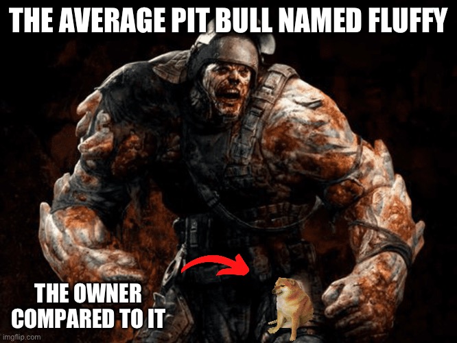Fr | THE AVERAGE PIT BULL NAMED FLUFFY; THE OWNER COMPARED TO IT | image tagged in dogs | made w/ Imgflip meme maker