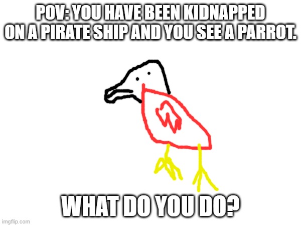 POV: YOU HAVE BEEN KIDNAPPED ON A PIRATE SHIP AND YOU SEE A PARROT. WHAT DO YOU DO? | made w/ Imgflip meme maker