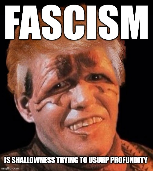 I first had this thought in relation to racism, but it applies to fascism as a whole. | FASCISM; IS SHALLOWNESS TRYING TO USURP PROFUNDITY | image tagged in paklid trump,fascism,racism,judging by appearances,rationalization,constant shallowness leads to evil | made w/ Imgflip meme maker