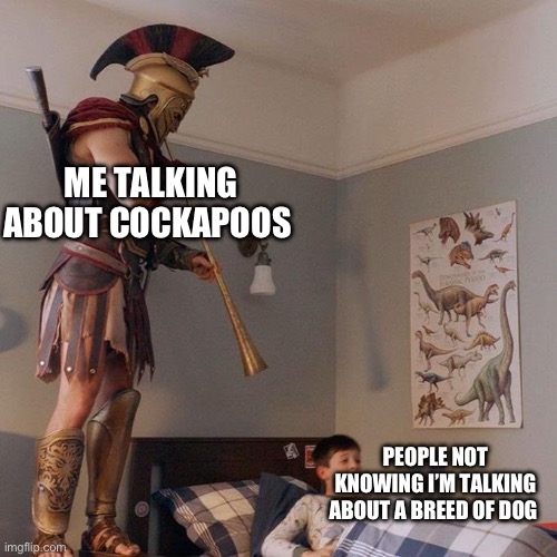 Doggy | ME TALKING ABOUT COCKAPOOS; PEOPLE NOT KNOWING I’M TALKING ABOUT A BREED OF DOG | image tagged in roman soldier,dogs | made w/ Imgflip meme maker