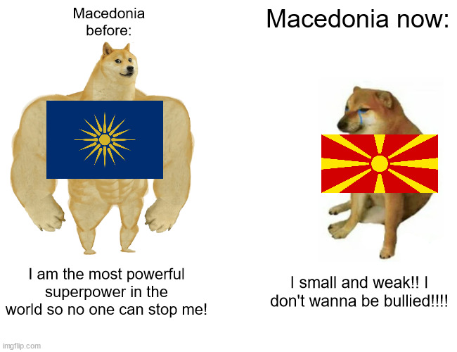 Buff Doge vs. Cheems | Macedonia
before:; Macedonia now:; I am the most powerful superpower in the world so no one can stop me! I small and weak!! I don't wanna be bullied!!!! | image tagged in memes,buff doge vs cheems | made w/ Imgflip meme maker